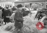 Image juifs Ruthenia Hongrie, 1939, de la seconde 5 séquences d'archives historiques vidéo 65675063139