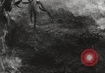 Image of starved and traumatized children in World War 2 Europe, 1945, second 40 stock footage video 65675063140