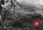 Image of starved and traumatized children in World War 2 Europe, 1945, second 41 stock footage video 65675063140