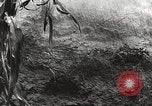 Image of starved and traumatized children in World War 2 Europe, 1945, second 42 stock footage video 65675063140