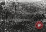 Image of starved and traumatized children in World War 2 Europe, 1945, second 43 stock footage video 65675063140