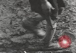 Image of starved and traumatized children in World War 2 Europe, 1945, second 59 stock footage video 65675063140