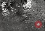 Image of starved and traumatized children in World War 2 Europe, 1945, second 62 stock footage video 65675063140