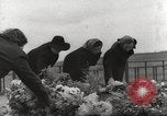 Image survivants et auteurs de Lidice massacre l'Europe, 1946, de la seconde 38 séquences d'archives historiques vidéo 65675063141
