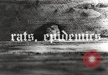 Image of Rubble and starvation after WW2 Europe, 1945, second 37 stock footage video 65675063142