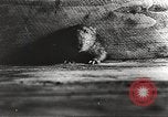 Image of Rubble and starvation after WW2 Europe, 1945, second 38 stock footage video 65675063142