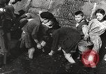 Image of Rubble and starvation after WW2 Europe, 1945, second 46 stock footage video 65675063142