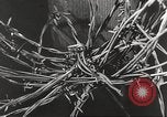 Image of victims of Nazi and Japanese atrocities in World War 2 Europe, 1945, second 6 stock footage video 65675063143