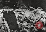 Image of victims of Nazi and Japanese atrocities in World War 2 Europe, 1945, second 8 stock footage video 65675063143