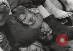 Image of victims of Nazi and Japanese atrocities in World War 2 Europe, 1945, second 9 stock footage video 65675063143
