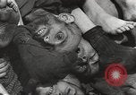 Image of victims of Nazi and Japanese atrocities in World War 2 Europe, 1945, second 10 stock footage video 65675063143