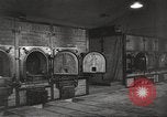 Image of victims of Nazi and Japanese atrocities in World War 2 Europe, 1945, second 18 stock footage video 65675063143