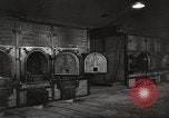 Image of victims of Nazi and Japanese atrocities in World War 2 Europe, 1945, second 20 stock footage video 65675063143