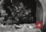 Image of victims of Nazi and Japanese atrocities in World War 2 Europe, 1945, second 22 stock footage video 65675063143