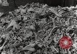 Image of victims of Nazi and Japanese atrocities in World War 2 Europe, 1945, second 23 stock footage video 65675063143
