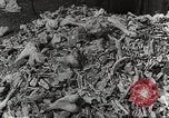 Image of victims of Nazi and Japanese atrocities in World War 2 Europe, 1945, second 24 stock footage video 65675063143