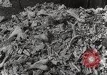 Image of victims of Nazi and Japanese atrocities in World War 2 Europe, 1945, second 25 stock footage video 65675063143