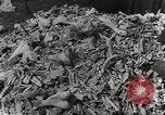 Image of victims of Nazi and Japanese atrocities in World War 2 Europe, 1945, second 26 stock footage video 65675063143