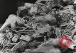 Image of victims of Nazi and Japanese atrocities in World War 2 Europe, 1945, second 27 stock footage video 65675063143