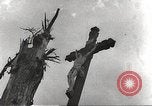 Image of victims of Nazi and Japanese atrocities in World War 2 Europe, 1945, second 30 stock footage video 65675063143