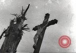 Image of victims of Nazi and Japanese atrocities in World War 2 Europe, 1945, second 31 stock footage video 65675063143