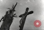 Image of victims of Nazi and Japanese atrocities in World War 2 Europe, 1945, second 32 stock footage video 65675063143