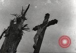 Image of victims of Nazi and Japanese atrocities in World War 2 Europe, 1945, second 33 stock footage video 65675063143