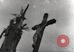 Image of victims of Nazi and Japanese atrocities in World War 2 Europe, 1945, second 34 stock footage video 65675063143