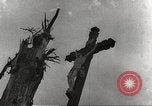 Image of victims of Nazi and Japanese atrocities in World War 2 Europe, 1945, second 35 stock footage video 65675063143