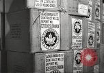 Image of Relief for World War 2 victims Europe, 1946, second 36 stock footage video 65675063146