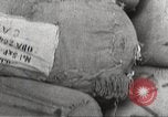 Image of Relief for World War 2 victims Europe, 1946, second 37 stock footage video 65675063146