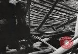 Image of war victims Europe, 1946, second 11 stock footage video 65675063147