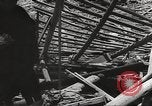 Image of war victims Europe, 1946, second 12 stock footage video 65675063147