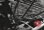 Image of war victims Europe, 1946, second 13 stock footage video 65675063147