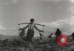 Image of war victims Europe, 1946, second 14 stock footage video 65675063147