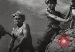 Image of war victims Europe, 1946, second 16 stock footage video 65675063147