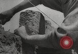 Image of war victims Europe, 1946, second 26 stock footage video 65675063147