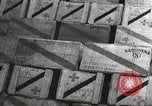 Image of war victims Europe, 1946, second 29 stock footage video 65675063147