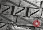 Image of war victims Europe, 1946, second 30 stock footage video 65675063147