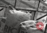 Image of war victims Europe, 1946, second 31 stock footage video 65675063147