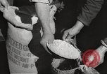 Image of war victims Europe, 1946, second 35 stock footage video 65675063147