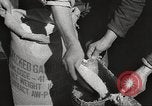 Image of war victims Europe, 1946, second 36 stock footage video 65675063147