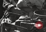 Image of war victims Europe, 1946, second 44 stock footage video 65675063147