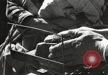 Image of war victims Europe, 1946, second 45 stock footage video 65675063147