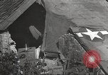 Image of war victims Europe, 1946, second 61 stock footage video 65675063147