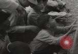 Image les victimes de guerre l'Europe, 1946, de la seconde 32 séquences d'archives historiques vidéo 65675063148