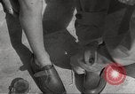 Image les victimes de guerre l'Europe, 1946, de la seconde 38 séquences d'archives historiques vidéo 65675063148