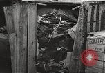 Image les victimes de guerre l'Europe, 1946, de la seconde 39 séquences d'archives historiques vidéo 65675063148