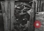 Image les victimes de guerre l'Europe, 1946, de la seconde 40 séquences d'archives historiques vidéo 65675063148
