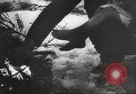Image of war victims Europe, 1946, second 3 stock footage video 65675063149